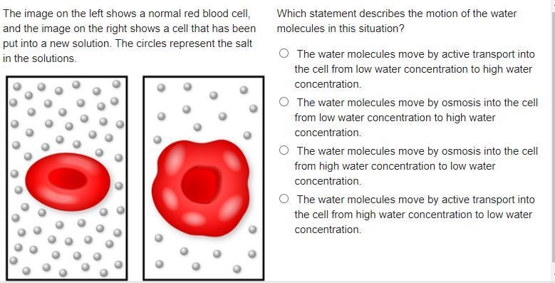 PLEASE HURRY Which statement describes the motion of the water molecules in this situation-example-1