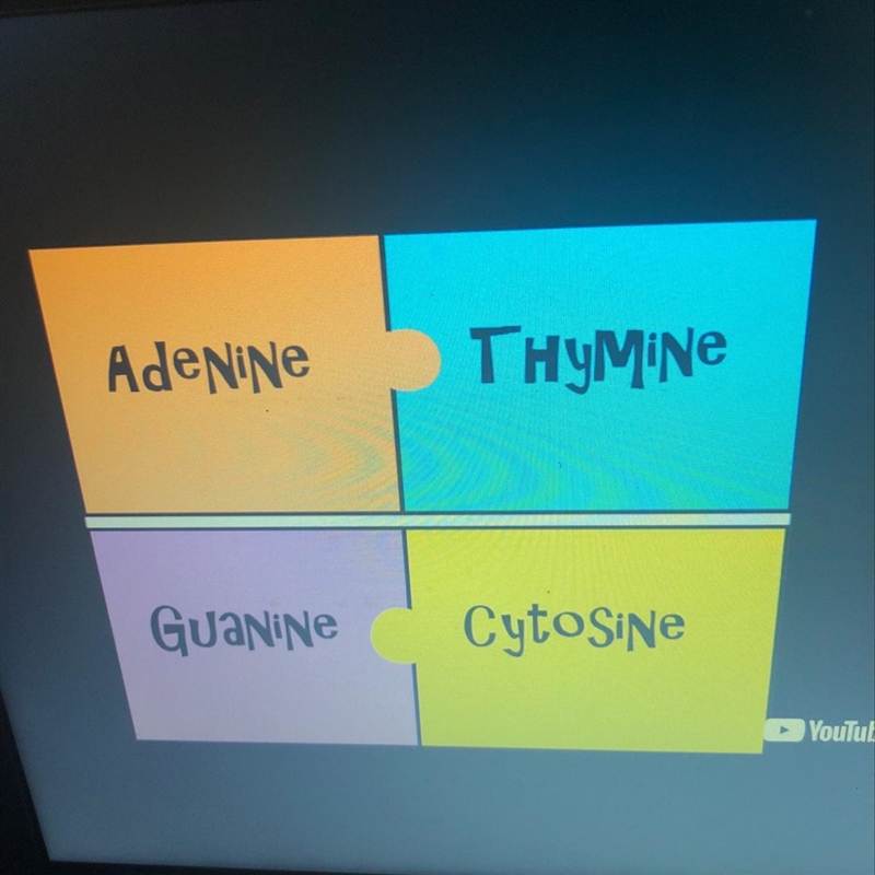 Which of the following is the correct base pairing-example-1