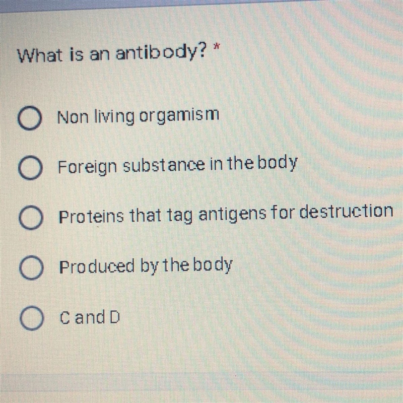 Not sure which one plz help-example-1