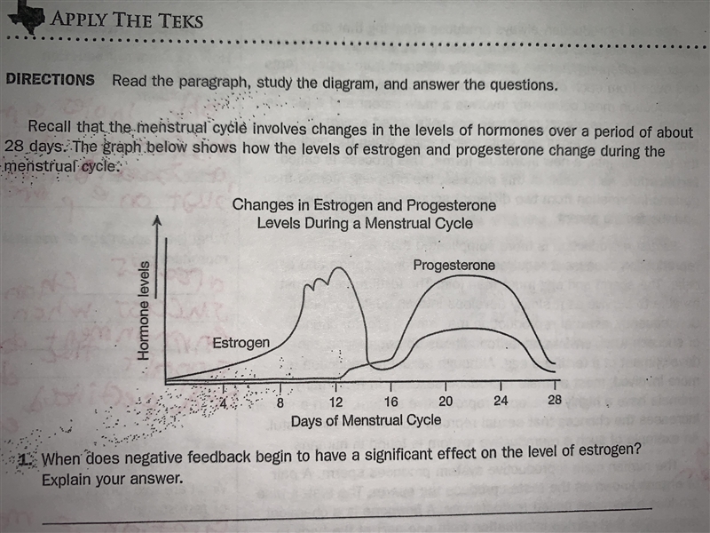 When does negative feedback begin to have a significant effect on the level of estrogen-example-1