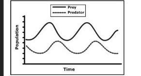 A feild biologist is tracking the populations of lynx and rabbits in a predator-pray-example-1