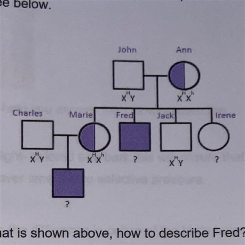 Based on the pedigree that is shown above, how to describe Fred?-example-1