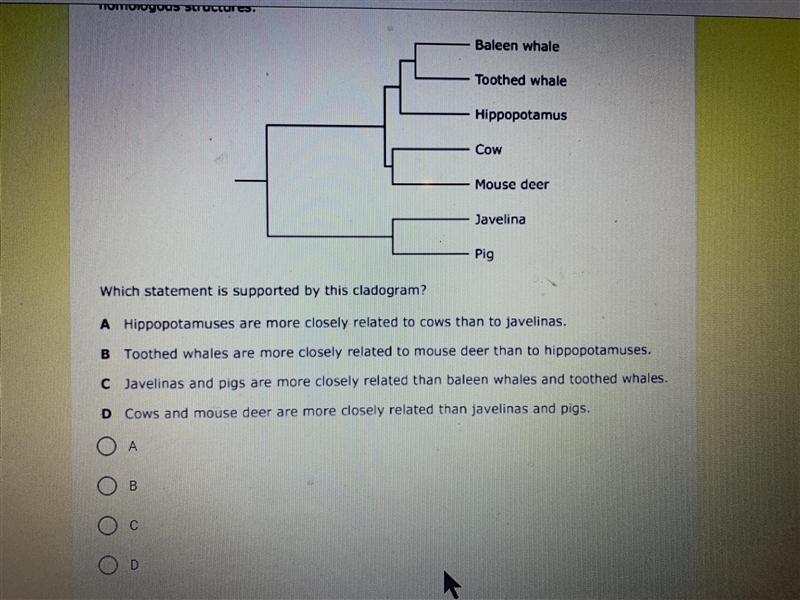 Please help me I need help!!!-example-1