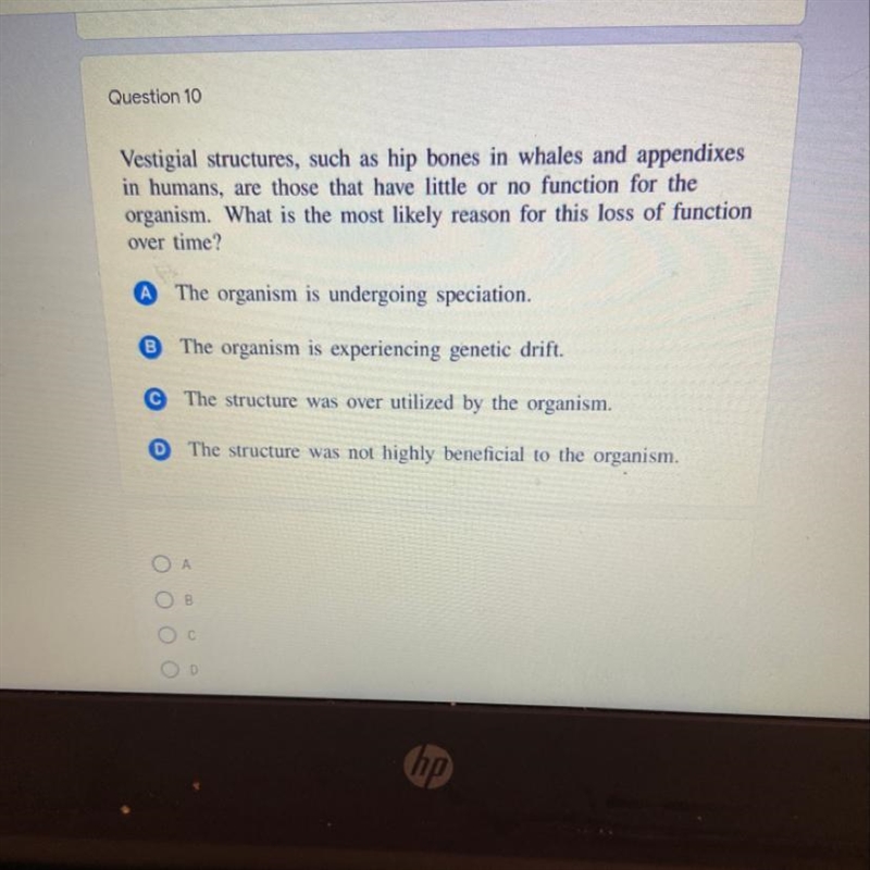 Vestigial structures, such as hip bones in whales and appendixes in humans, are those-example-1