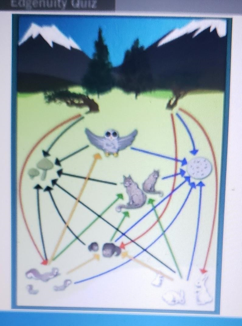 Which of the following population groups as a secondary consumer in this food web-example-1