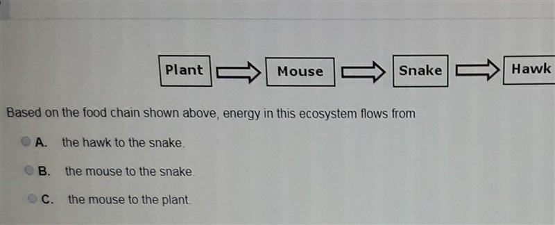 Based on the food chain above, energy in this ecosystem flows from​-example-1