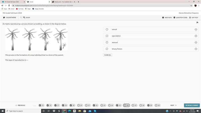 Hydra reproduce by a process known as budding, as shown in the diagram below.-example-1