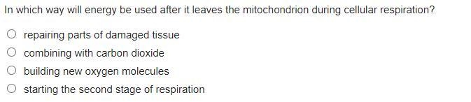 PLEASE HURRY I ONLY HAVE 1 MINUTE LEFT In which way will energy be used after it leaves-example-1