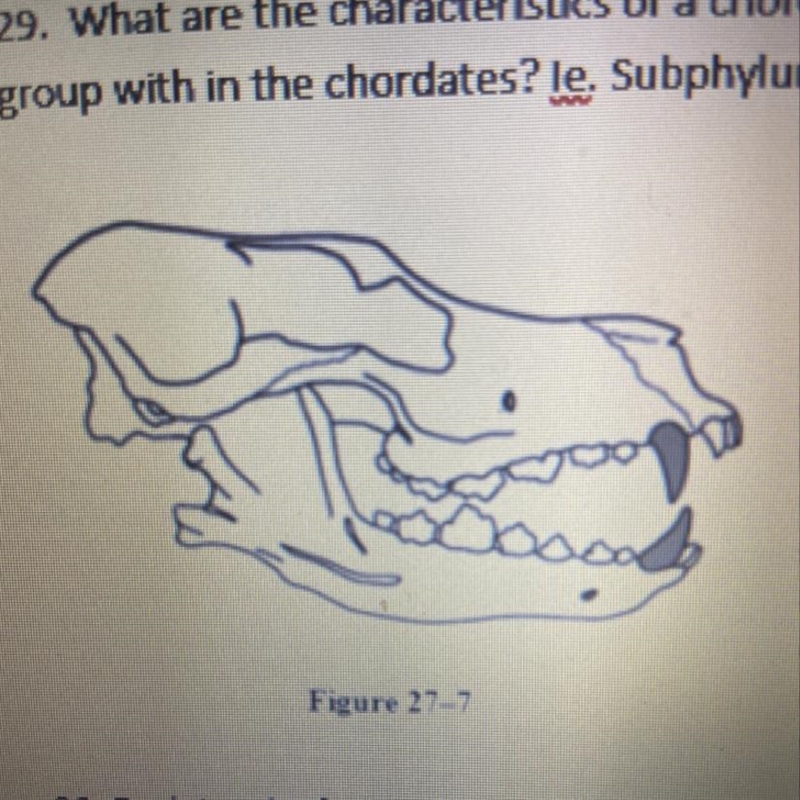 30. Explain why figure 27-7 has mouthparts adapted for a carnivore. How would the-example-1