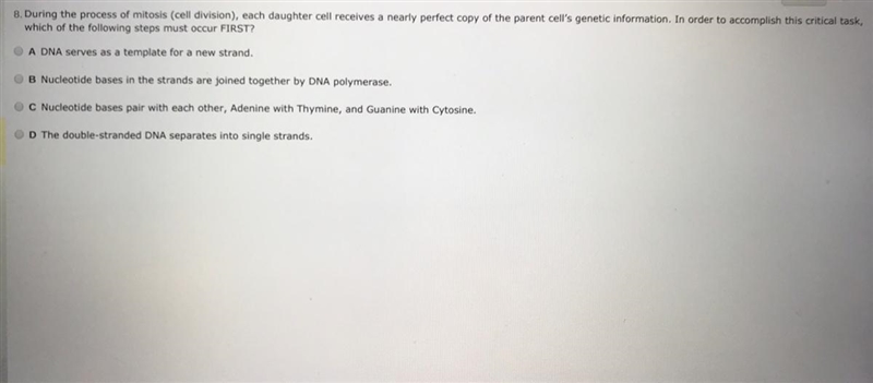 DNA serves as a template for a new strand-example-1