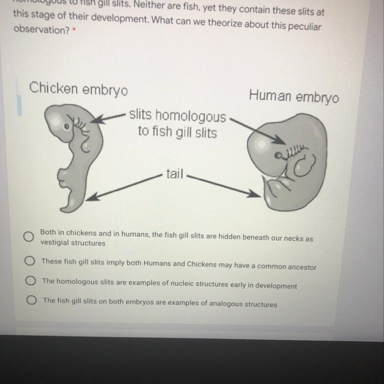 2 points 4.) The diagram to the right demonstrates a chicken and human embryo both-example-1