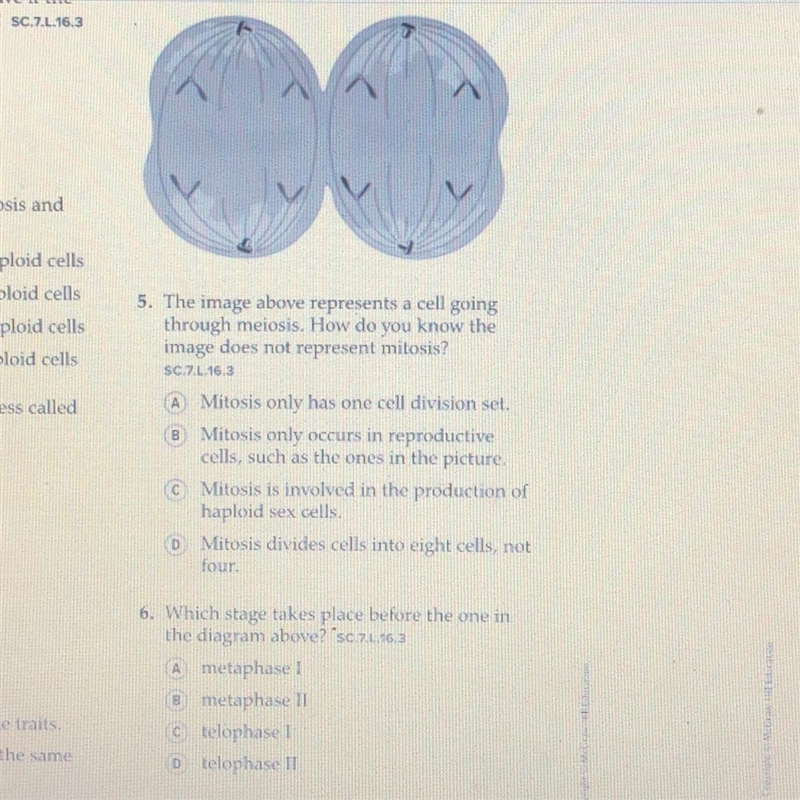 I need answers for 5 and 6 please-example-1