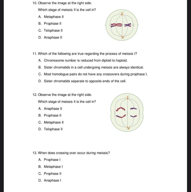 10 11 12 13 plz help-example-1