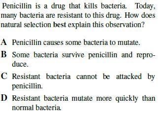 Biology!!! 20 Points!-example-4