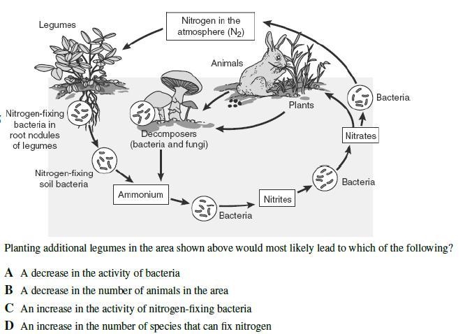 Biology!!! 20 Points!-example-5