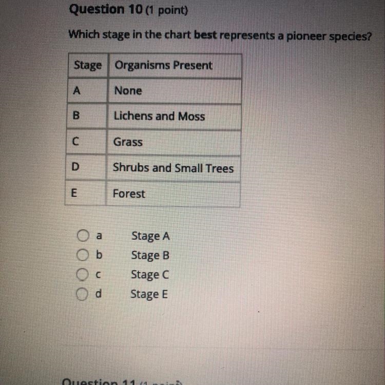 Which stage in the chart best represents a pioneer species? Stage Organisms Present-example-1