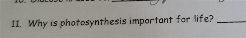 Someone help me with this question. Thx​-example-1