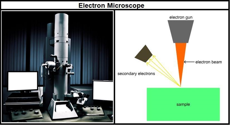 In an electron microscope, the sample is bombarded with a stream of electrons that-example-1