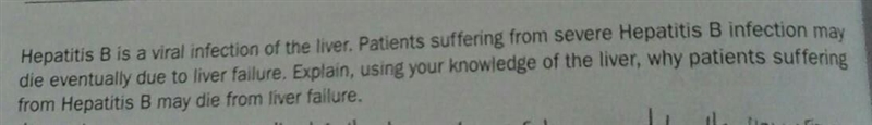 Why do patients suffering from severe Hepatitis B infection die eventually from liver-example-1