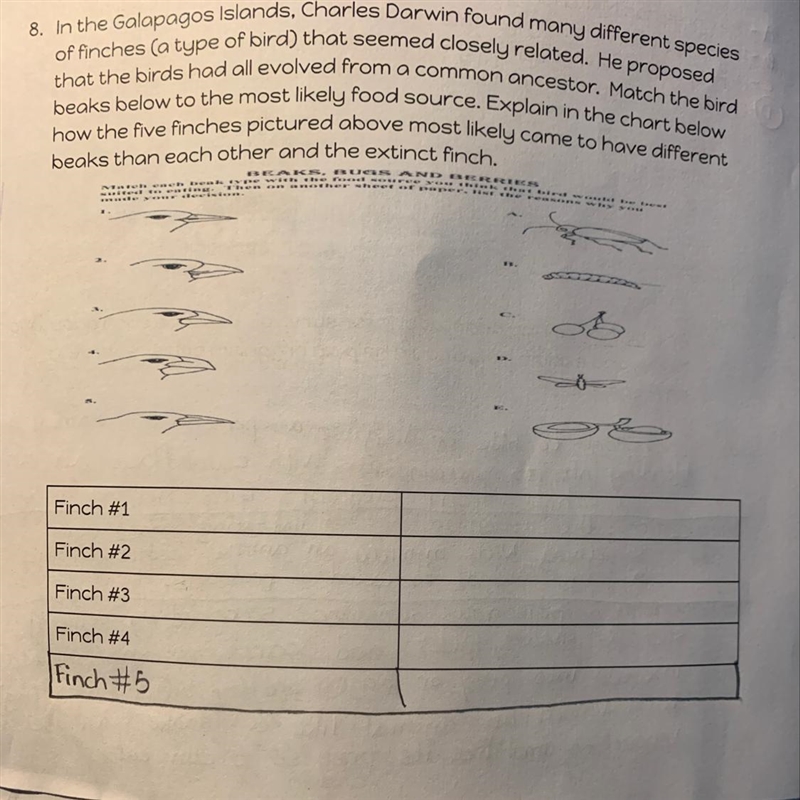 PLEASE HELP!!!!! 100 points for good answers!!!!!! ASAP!-example-1