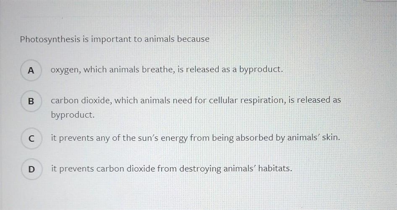 Why is photosynthesis important to animals SOMEONE ANSWER I Need it now.​-example-1