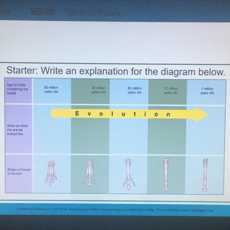 Evolution. Darwin’s theory.-example-1