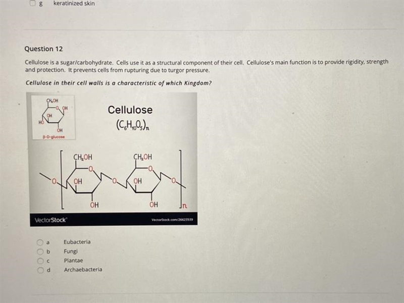 I need help plzzzzzzzz-example-1