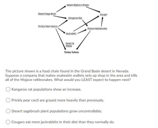 The picture shown is a food chain found in the Grand Basin desert in Nevada. Suppose-example-1