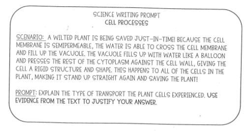 Need help from a pro. This is due at the end of today ( 12/3/20 )-example-1