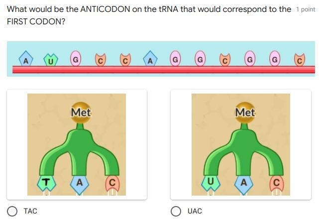 HELP I NEED BY TUESDAY BUT I HAVE MULTIPLE QUESTIONS THEY ARE ALL IMAGES SECOND IMAGE-example-3