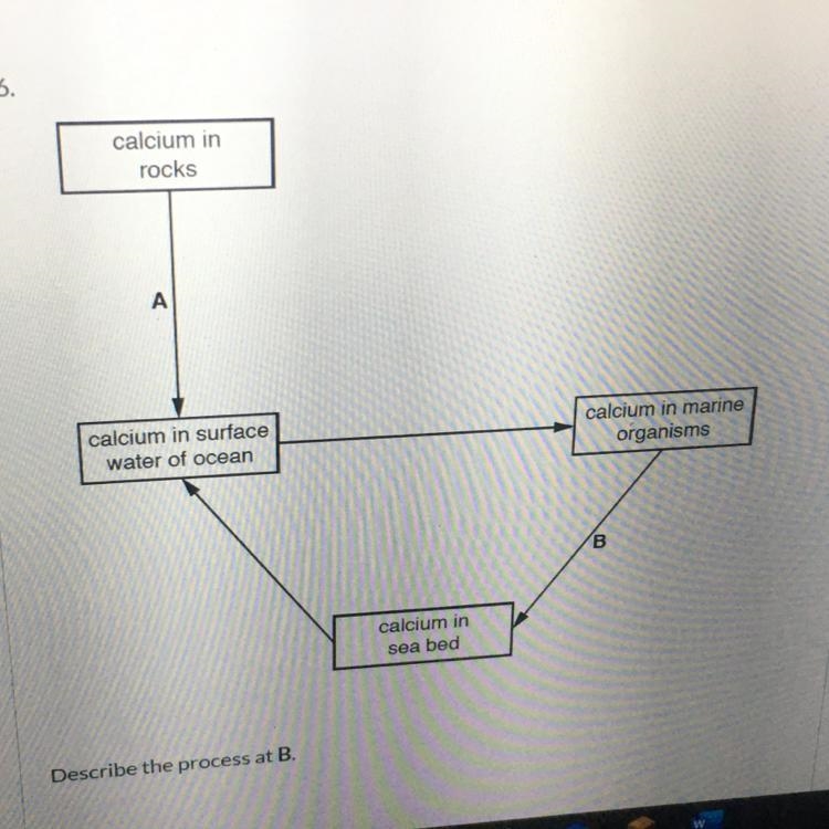 URGENT!! Describe the process at B.-example-1