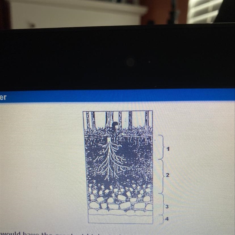 Which layer shown would have the greatest biological activity? A Layer 1 B Layer 2 C-example-1