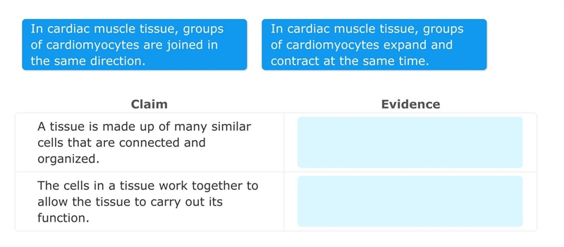 Which one is for which-example-1