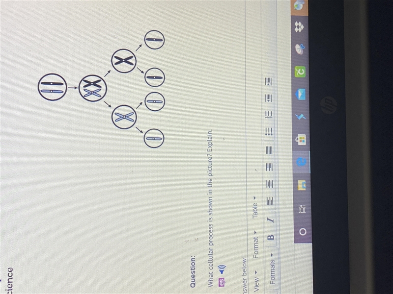 What cellular process is shown in the picture? Explain-example-1