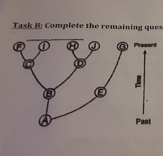 Task B: Complete the remaining questions with your triad. Base your answers to #1-4 on-example-1