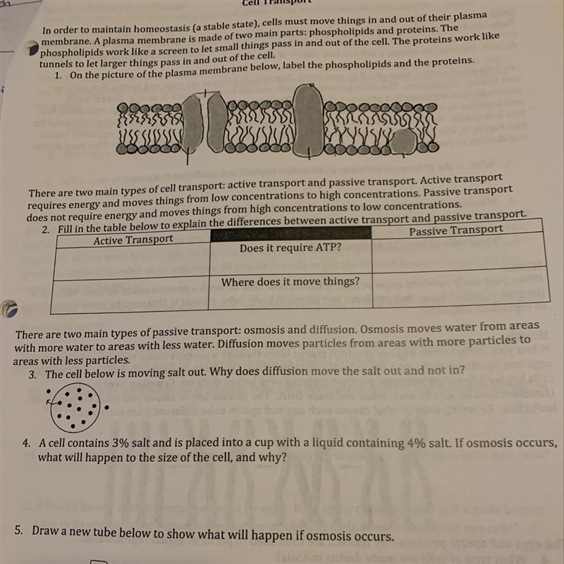 Any help with any of these questions would be helpful :((please-example-1