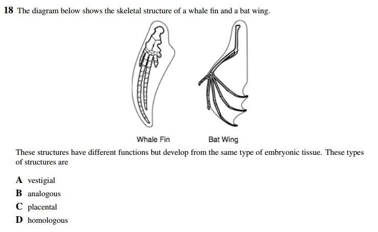 Heyyy Biology help needed please and thanks!!-example-1