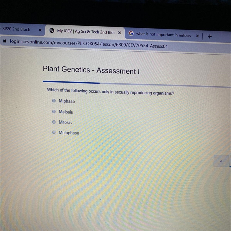 This is on plant genetics-example-1