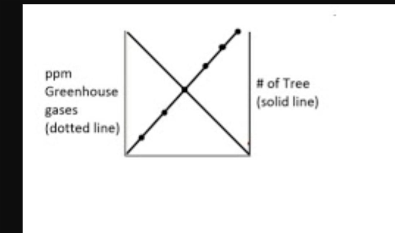 Which of the following trends show the relationship between deforestation and the-example-1