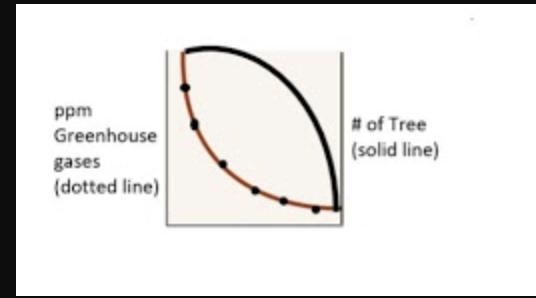 Which of the following trends show the relationship between deforestation and the-example-2