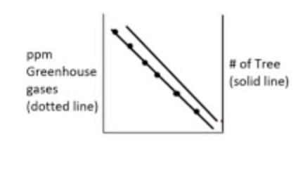 Which of the following trends show the relationship between deforestation and the-example-3