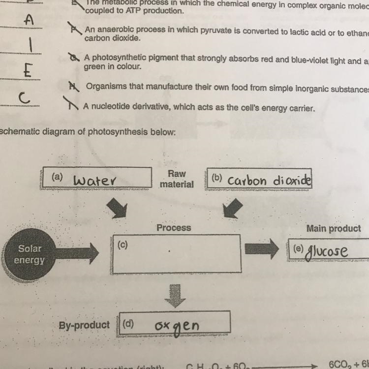 I’m not sure if I’m doing this right, how do you do it??-example-1