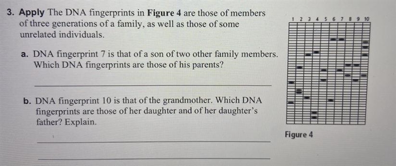 I need help on part a. & b. of question #3 ASAP-example-1