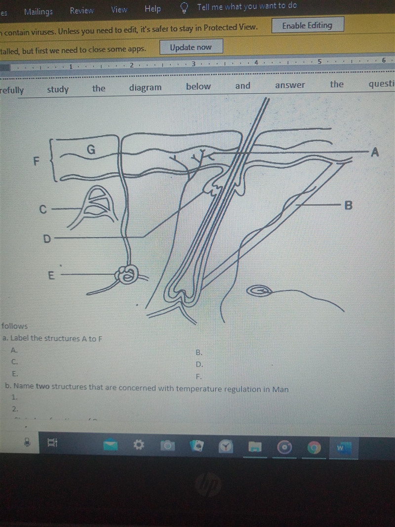 Carefully study the diagram below and answer the questions that follow. a. Label the-example-1