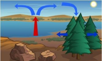 Which is NOT something shown in the diagram below? A. convection B. a local wind C-example-1