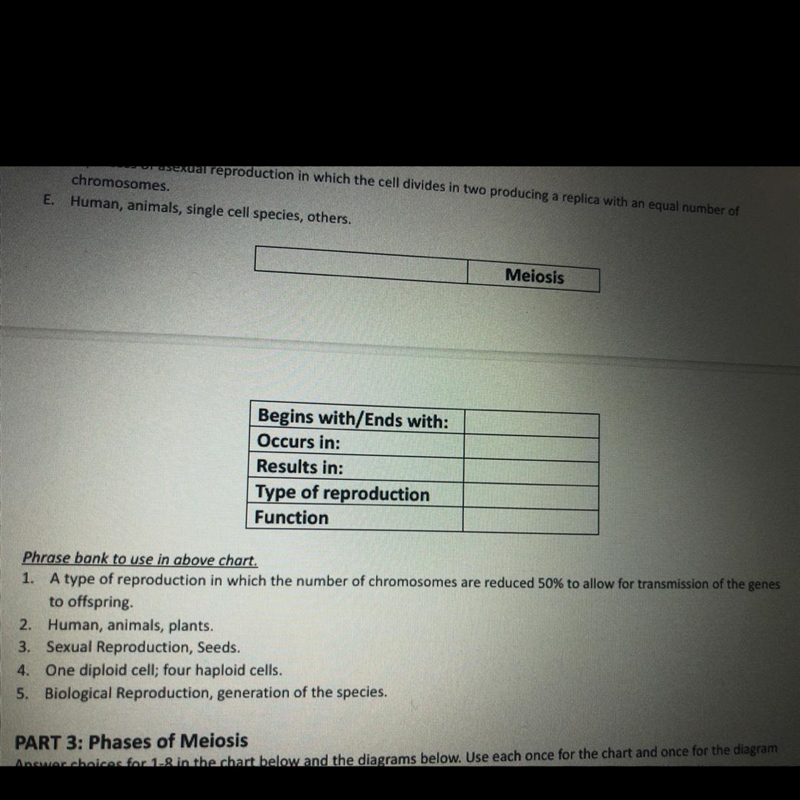 HELP A GIRL OUT !! meiosis and mitosis worksheet-example-1