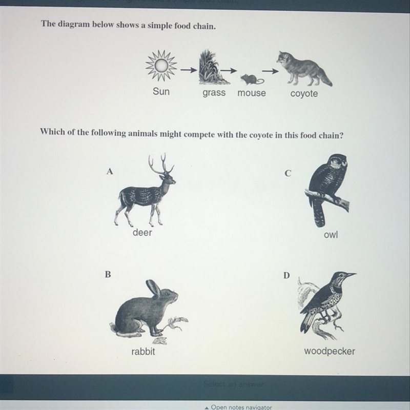 The diagram below shows a simple food chain. (With pictures)-example-1