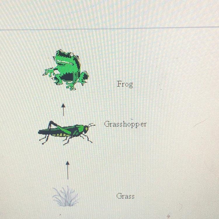 This is a simple food chain. The grass is a living organism that uses energy from-example-1