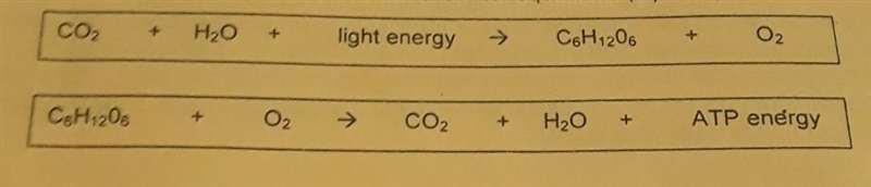 Explain the relationship between these two chemical equations.​-example-1