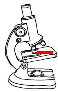 Name the part of the microscope.-example-1